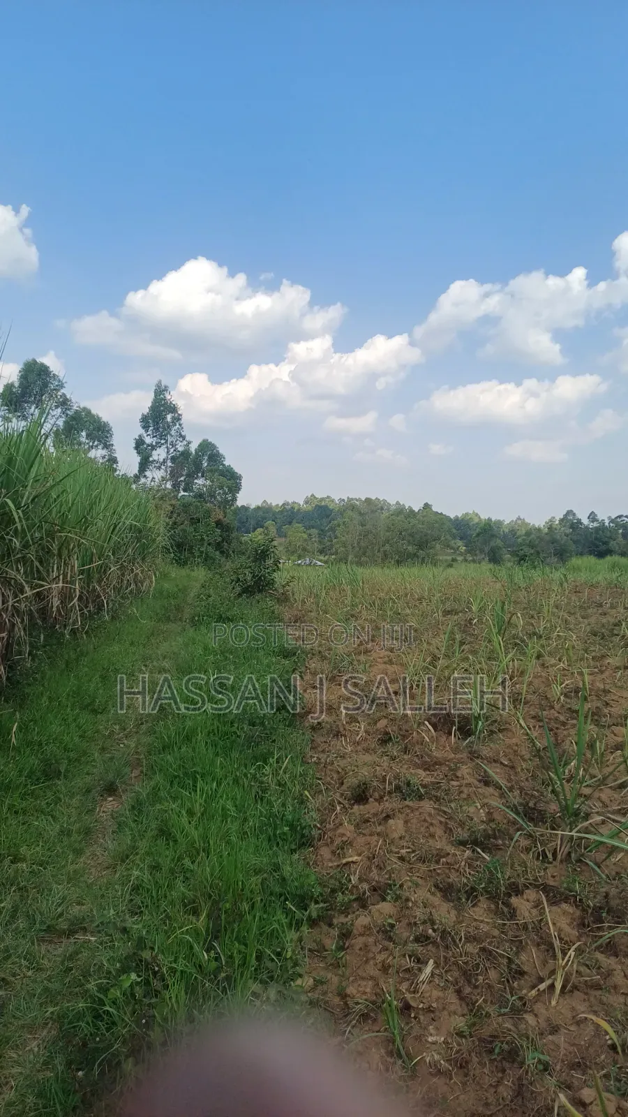 2acres Shikalame