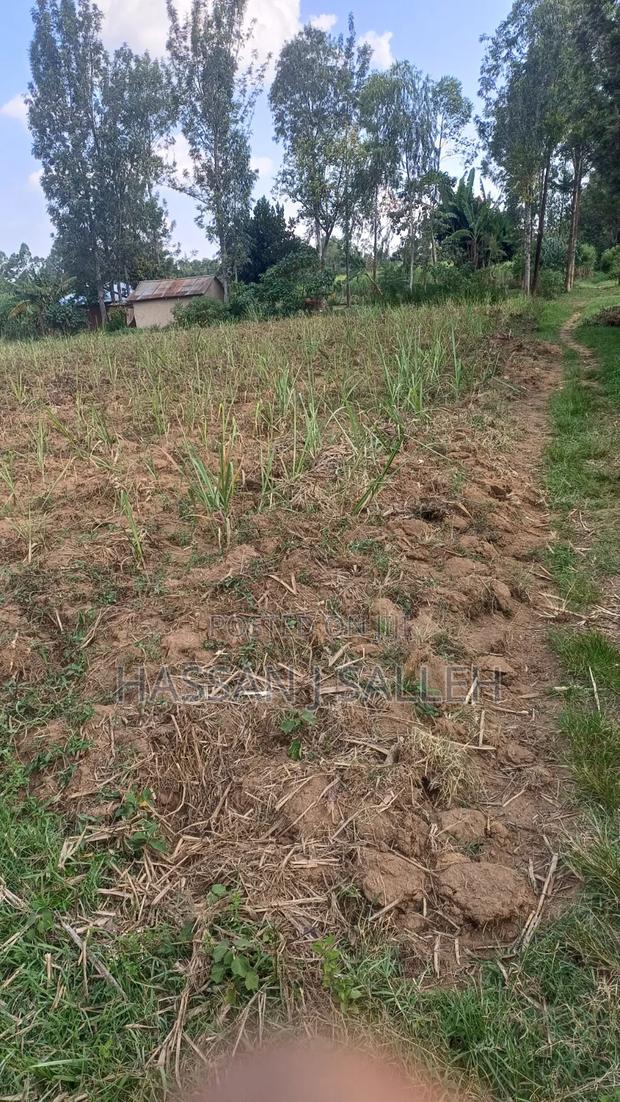 2acres Shikalame - thumbnail 7