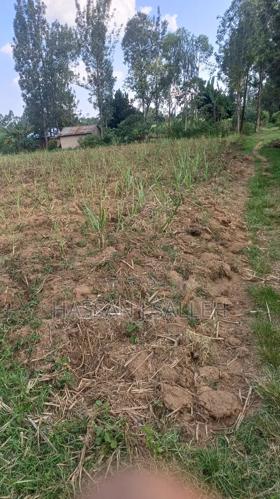 2acres Shikalame