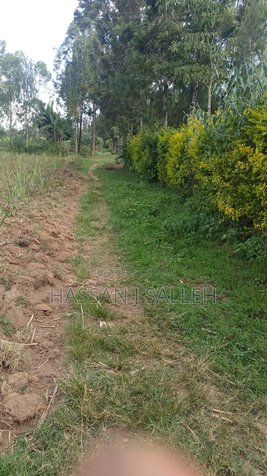2acres Shikalame