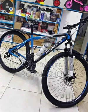 Bike Size 29