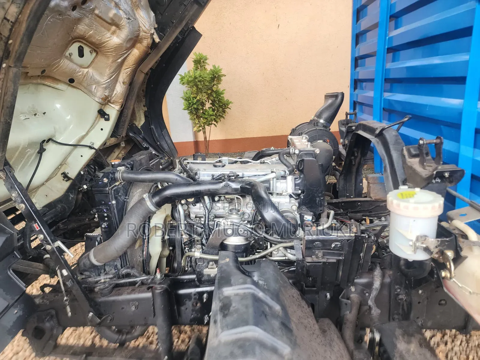 Isuzu FRR 90 Slay Queen