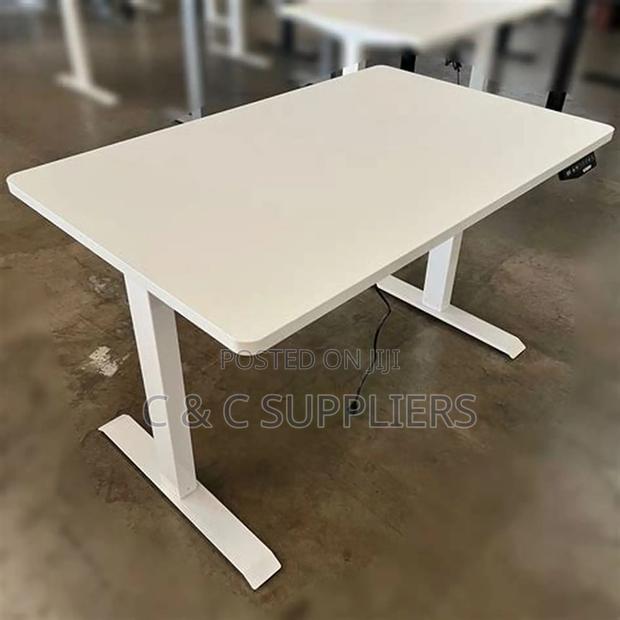 Sit Stand Electric Table