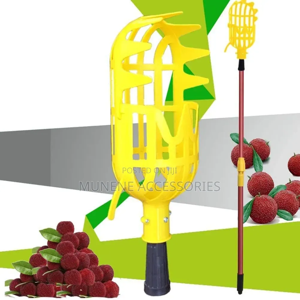 Large Size Fruit Picker With 3Meter Extension Pole Catcher Collector