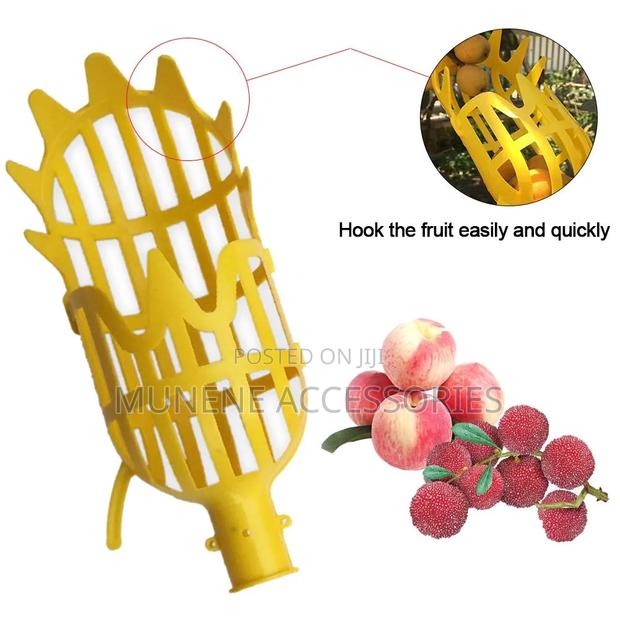 Large Size Fruit Picker With 3Meter Extension Pole Catcher Collector - thumbnail 2