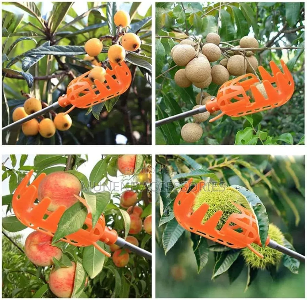 Large Size Fruit Picker With 3Meter Extension Pole Catcher Collector