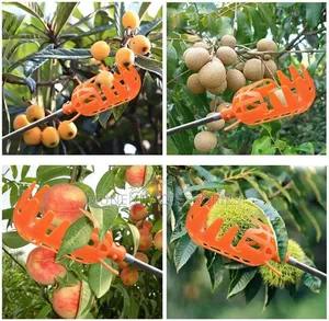 Large Size Fruit Picker With 3Meter Extension Pole Catcher Collector