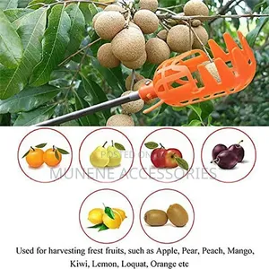 Large Size Fruit Picker With 3Meter Extension Pole Catcher Collector