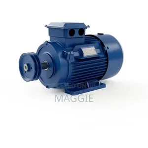 Electric Motor Single Phase 3 HP