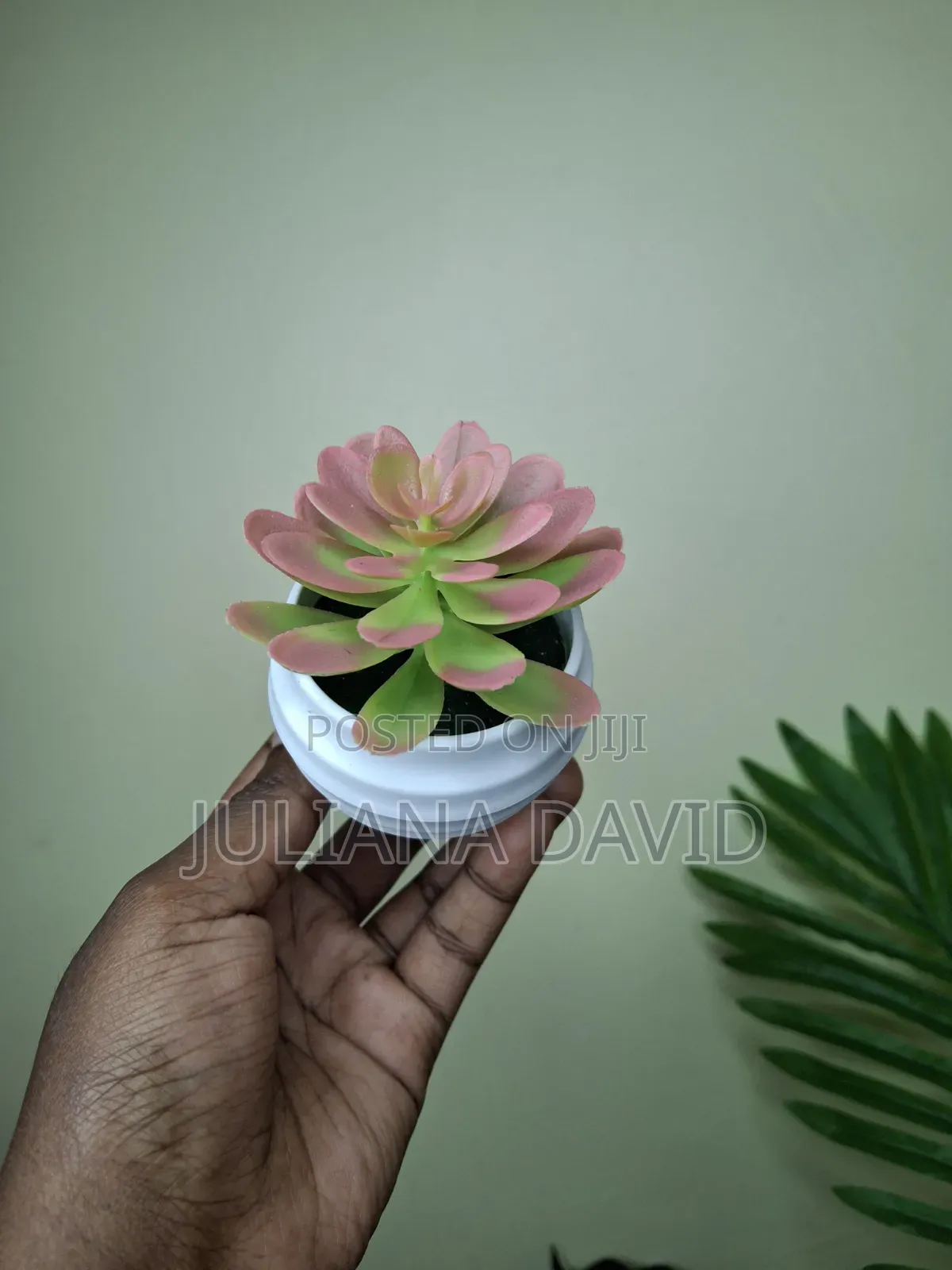 Artificial Mini Succulents