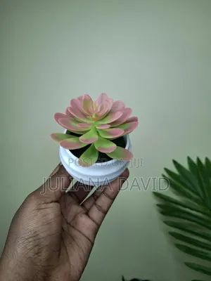 Artificial Mini Succulents