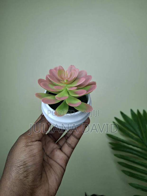 Artificial Mini Succulents - thumbnail 2