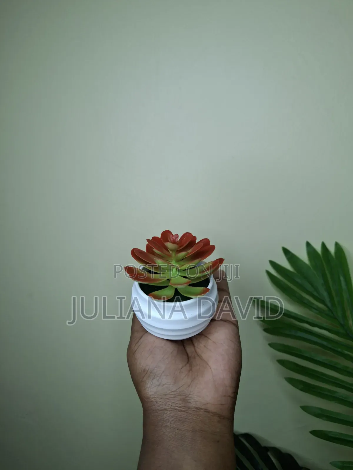 Artificial Mini Succulents