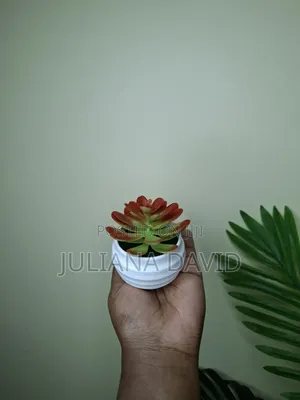 Artificial Mini Succulents