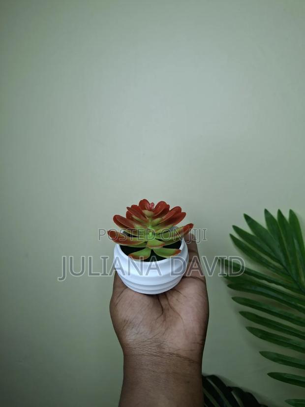Artificial Mini Succulents - thumbnail 3