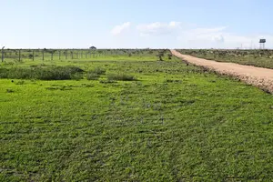 1/8 Plot for Sale in Kiserian Near Birika