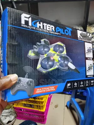 Remote Controlled Mimi-Drone