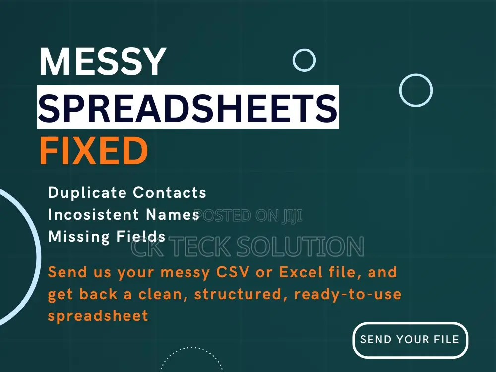 Data Cleanup Organization
