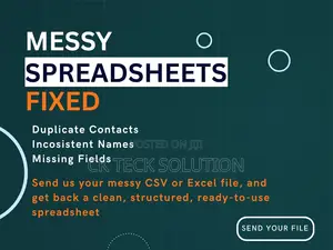 Data Cleanup Organization