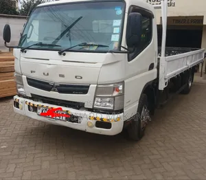 Truck Mitsubishi 2013 White