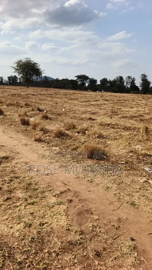 40acres at Mamba