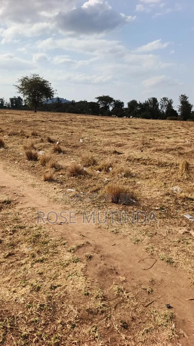 40acres at Mamba - main view