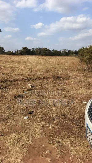 40acres at Mamba