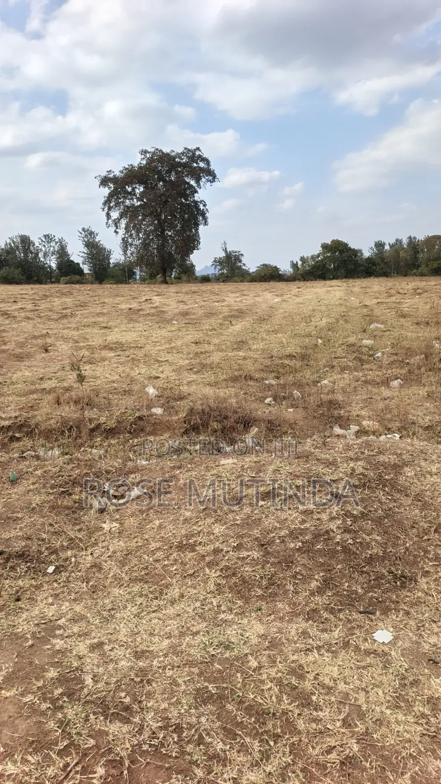 40acres at Mamba