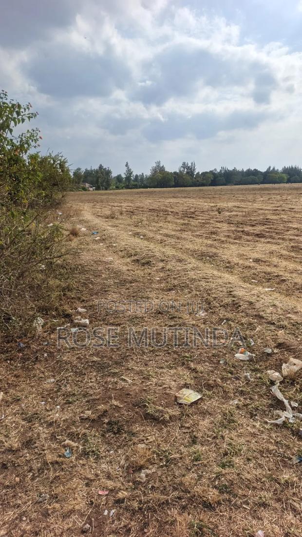 40acres at Mamba - thumbnail 4