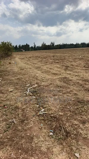 40acres at Mamba