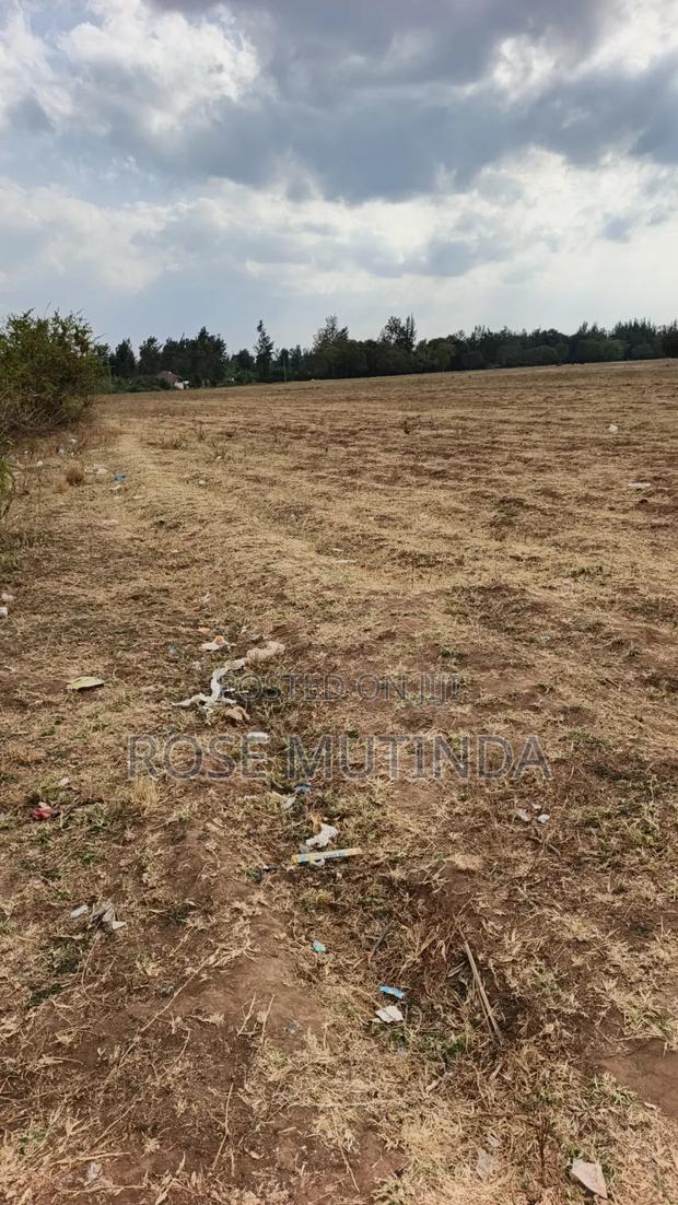 40acres at Mamba - thumbnail 5