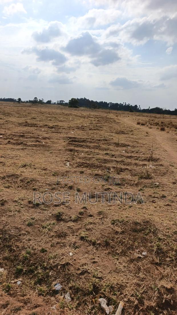 40acres at Mamba - thumbnail 6