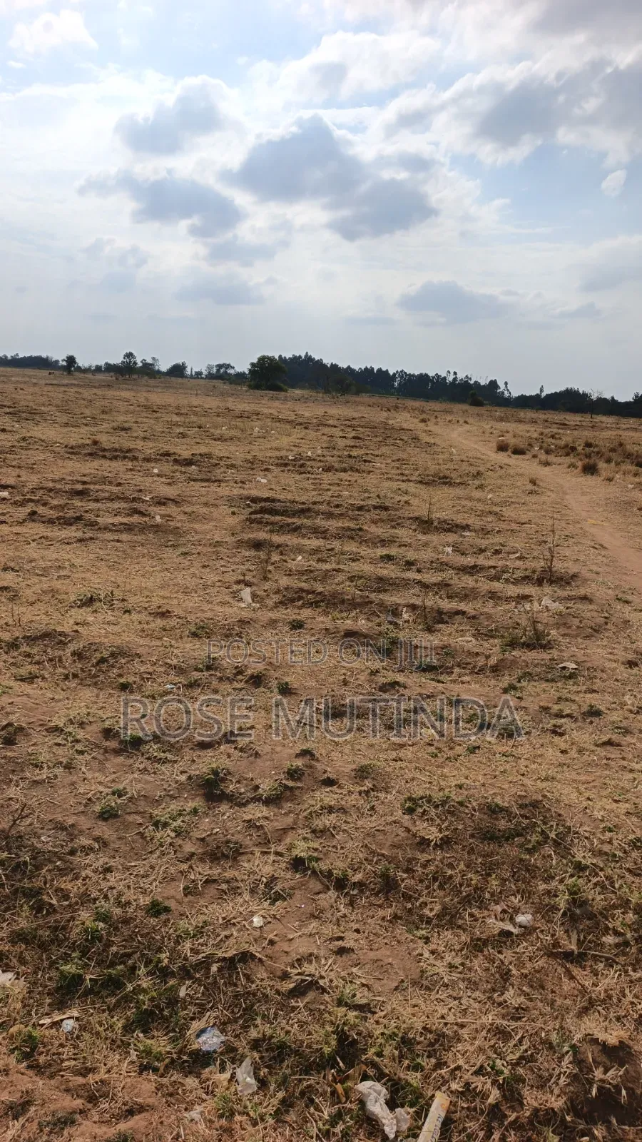 40acres at Mamba