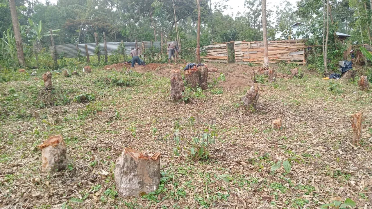 Land Plot ~1/2 Acre in Ikonyero Kakamega