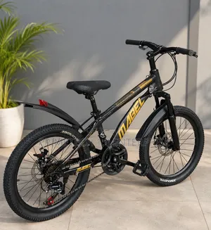 21 Gears Size 20 Bicycle