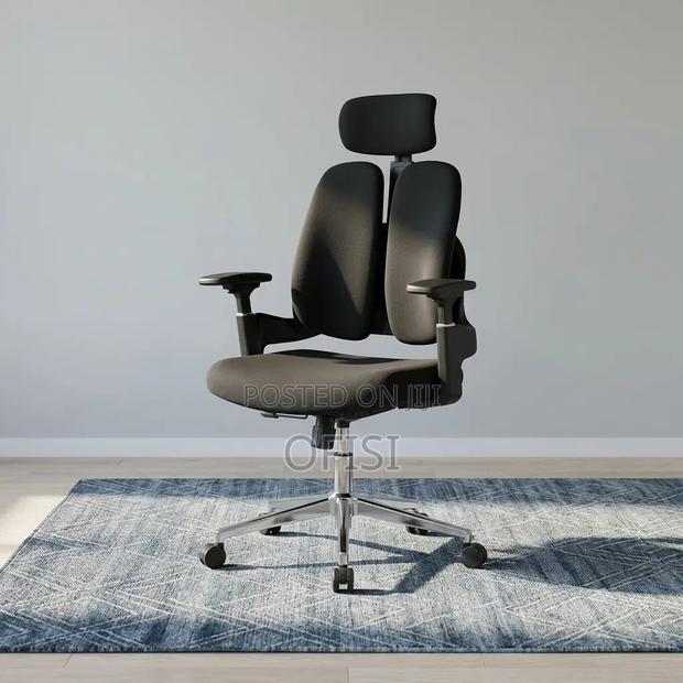Office Chair: Office Dual Full Fabric Orthopedic Chair