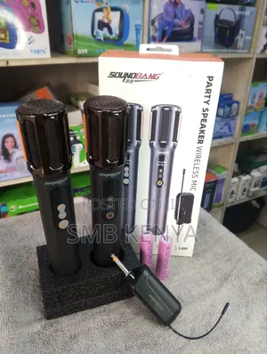 Karaoke Wireless Microphone for Indoor and Outdoor
