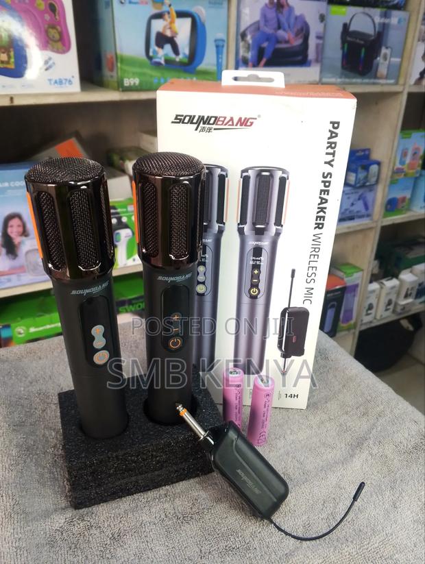 Karaoke Wireless Microphone for Indoor and Outdoor