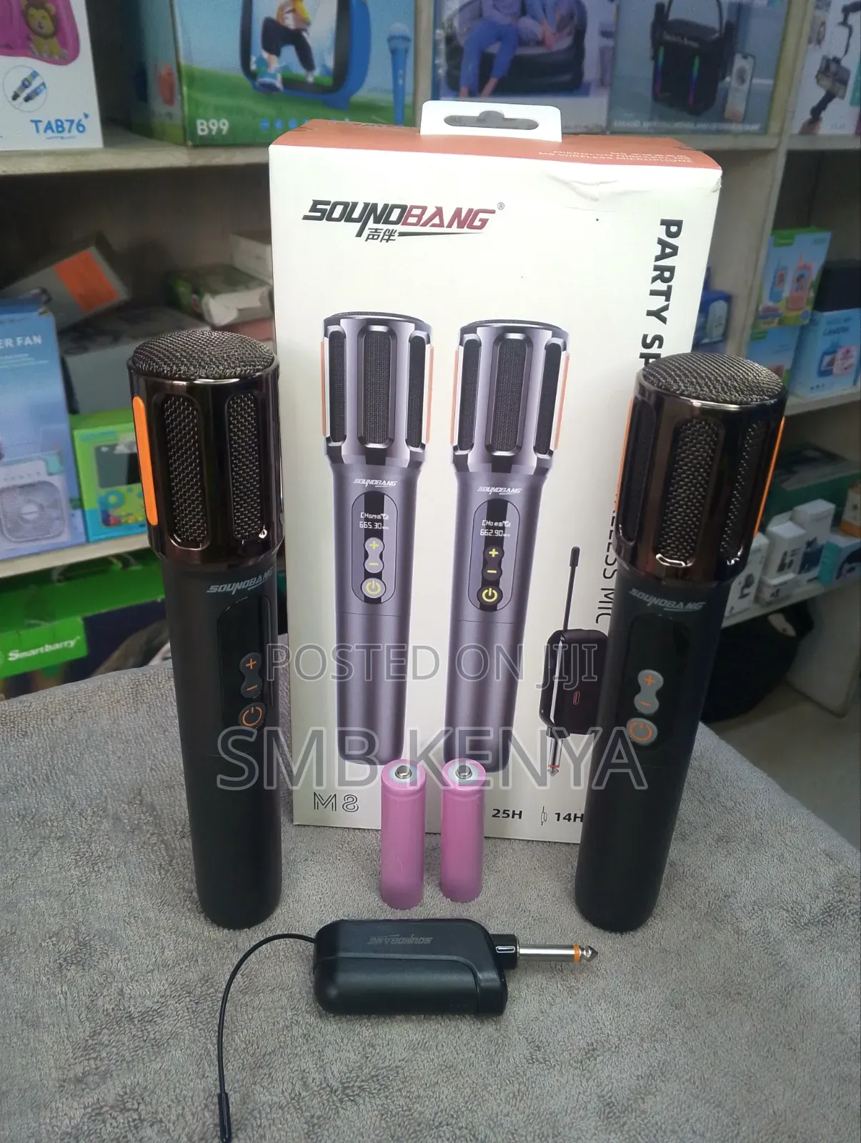 Karaoke Wireless Microphone for Indoor and Outdoor