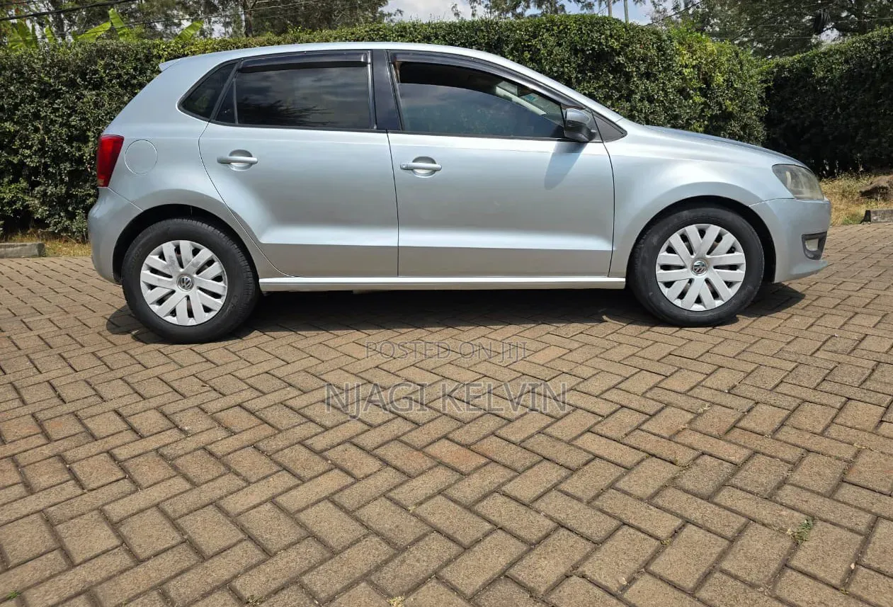 Volkswagen Polo 2011 Silver