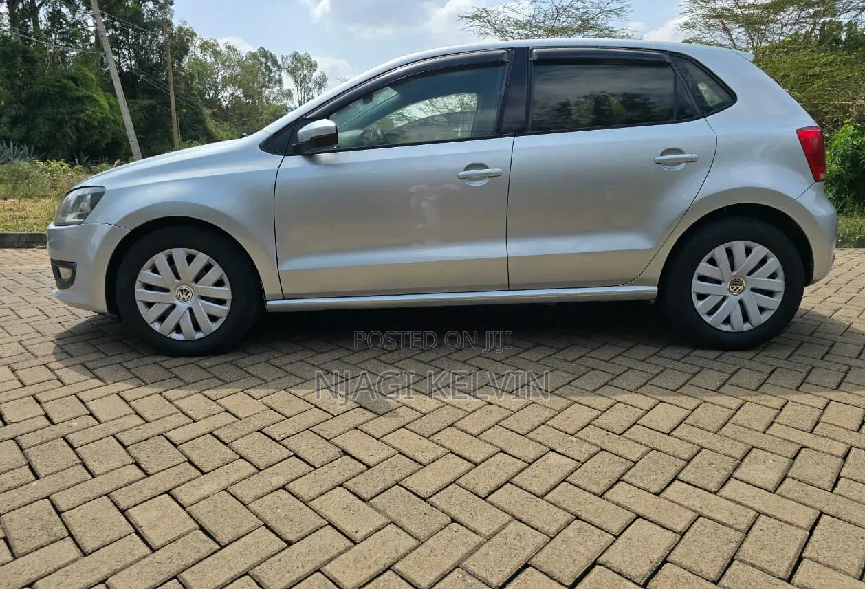Volkswagen Polo 2011 Silver