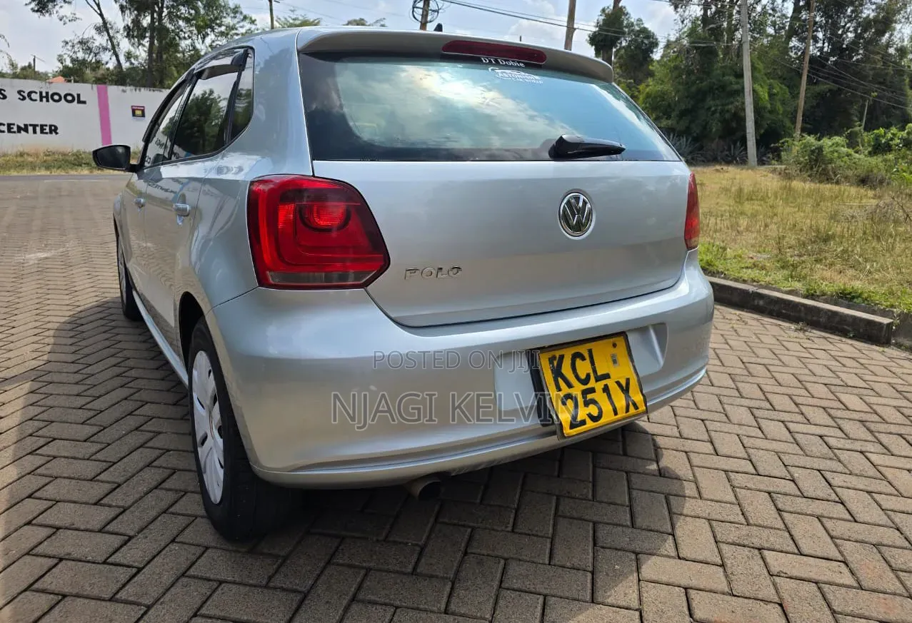 Volkswagen Polo 2011 Silver