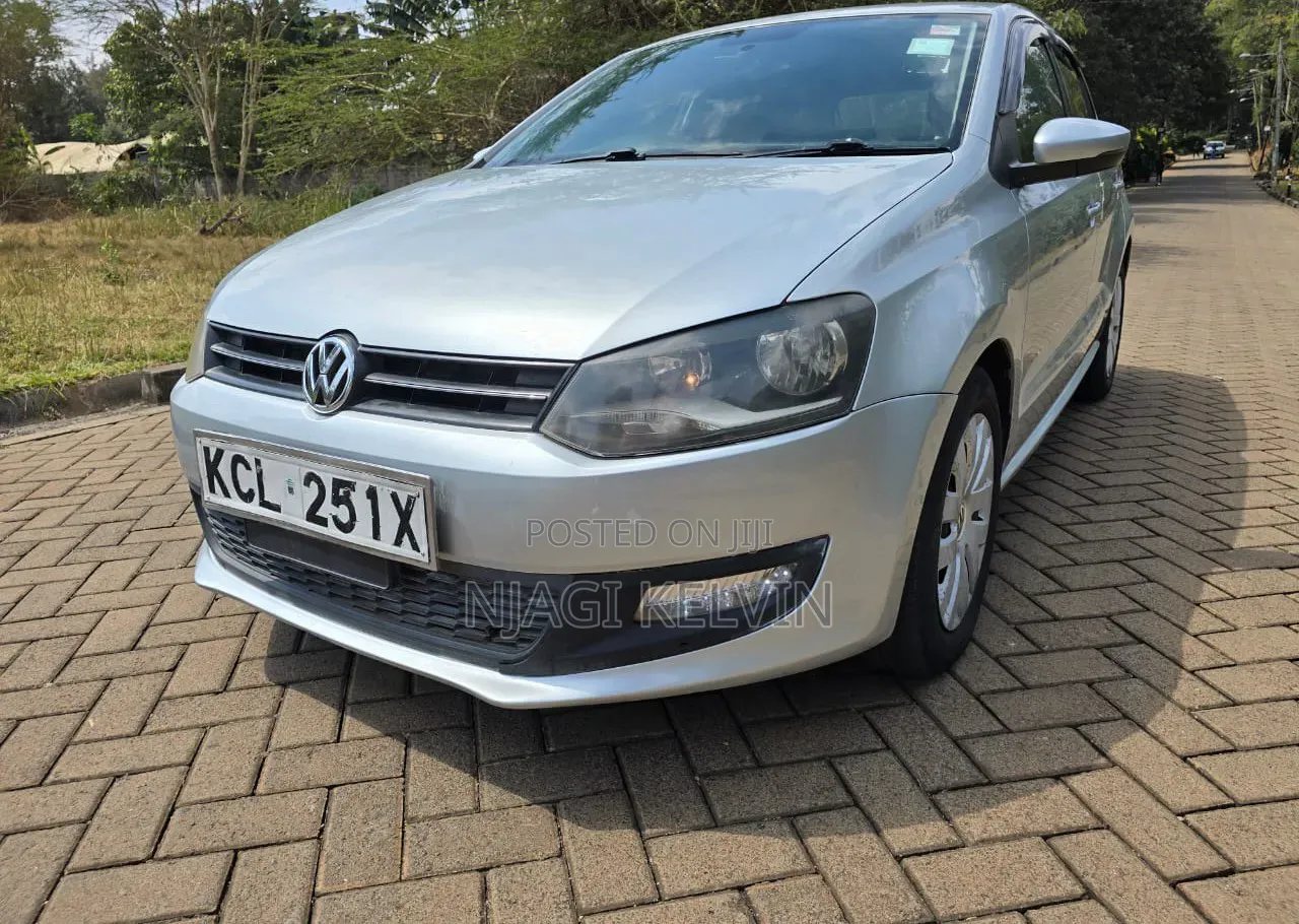 Volkswagen Polo 2011 Silver