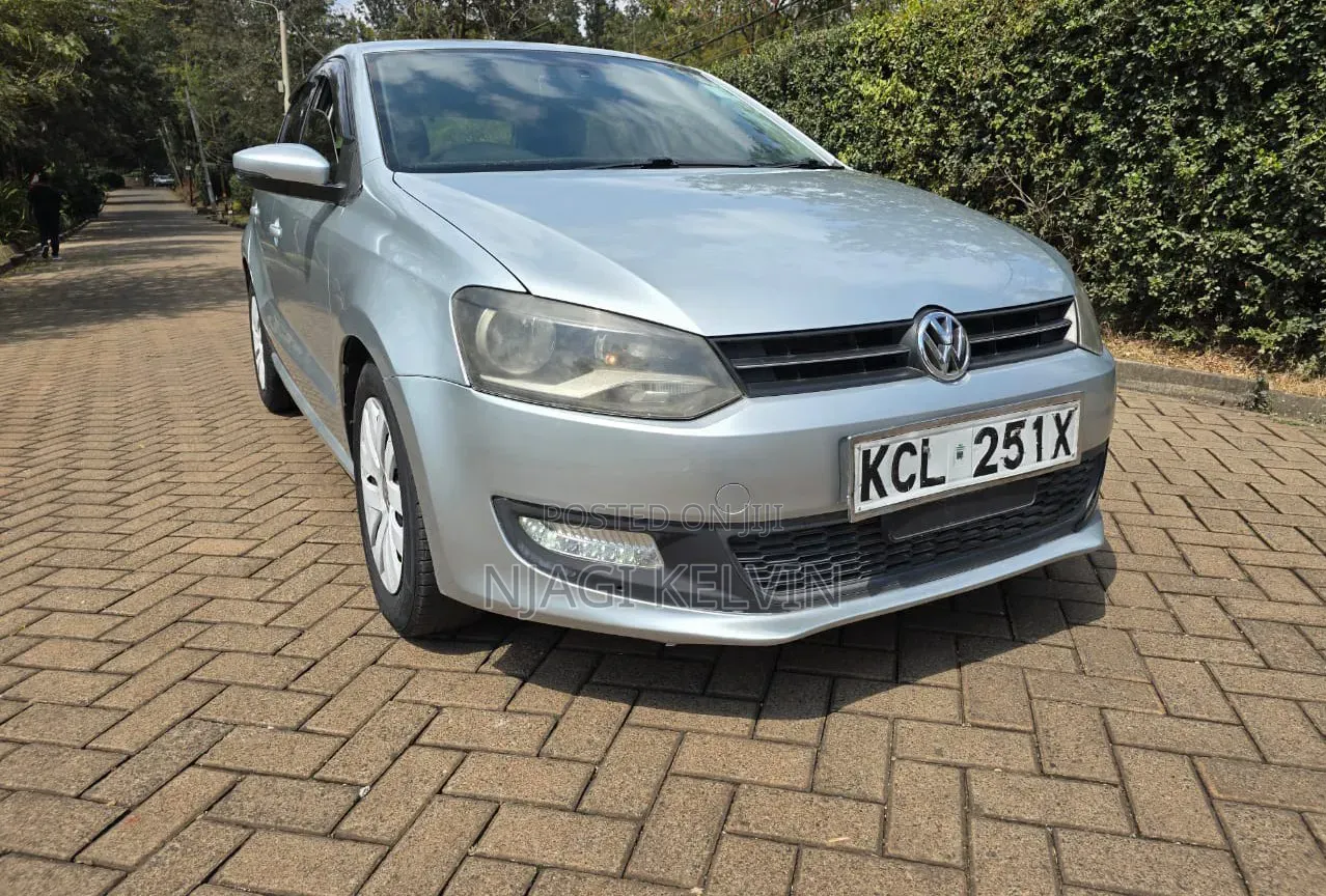 Volkswagen Polo 2011 Silver