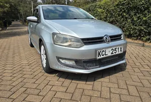 Volkswagen Polo 2011 Silver