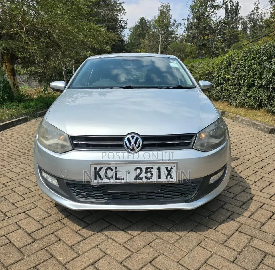 Volkswagen Polo 2011 Silver