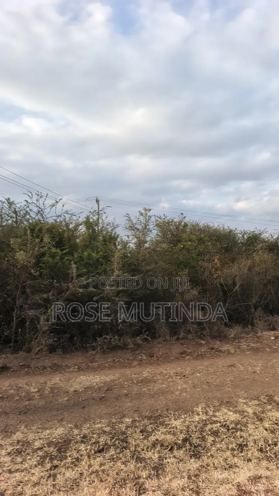 65acres at Makutano