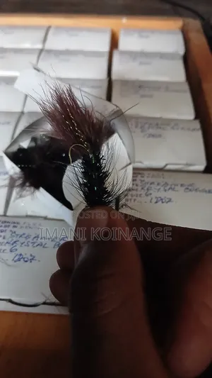 Fish Flies