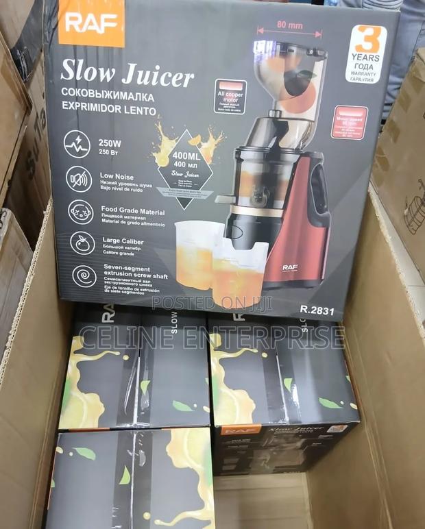 Raf Slow Juicer - main view