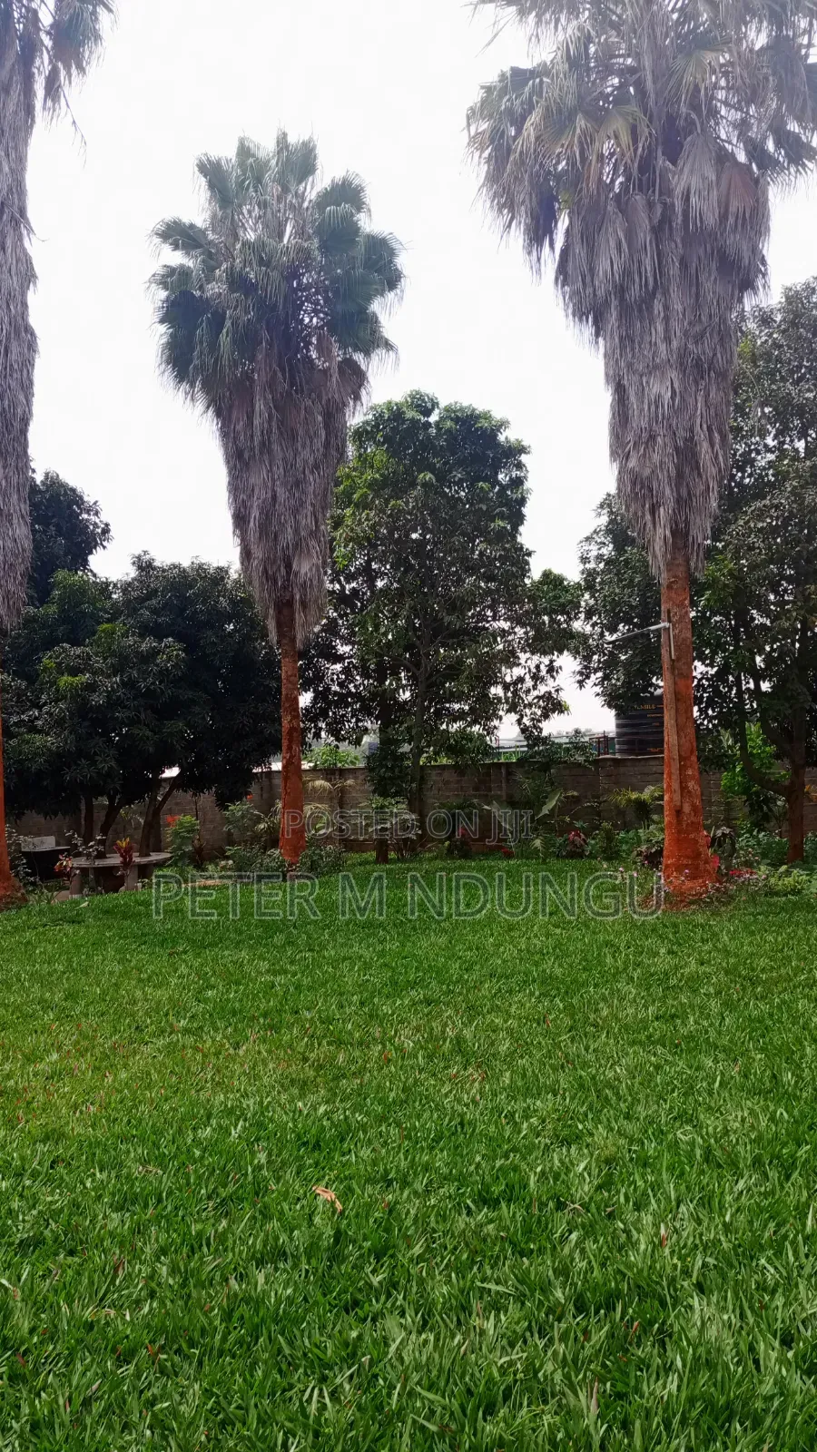 5bdrm Maisonette in Runda, Kiambu / Kiambu  for sale